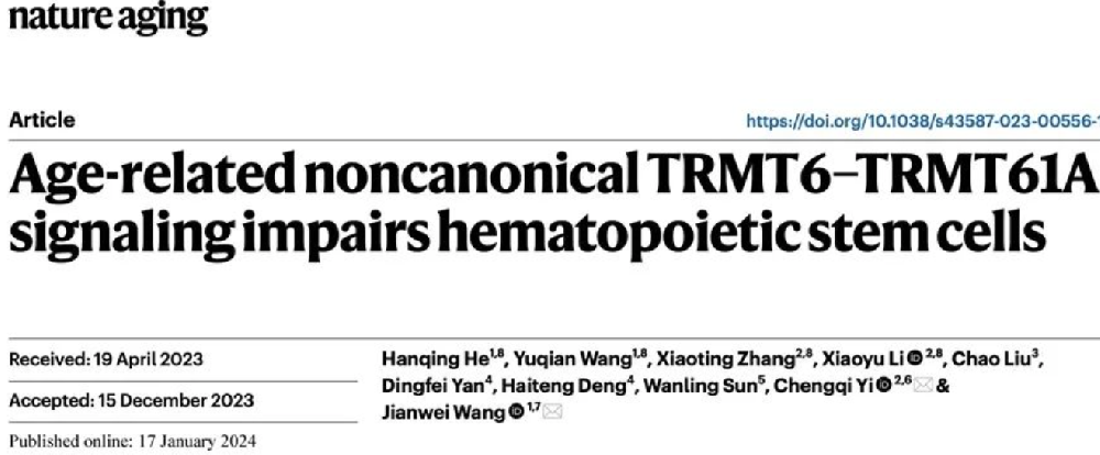 中国学者伊成器/王建伟发现：延缓造血干细胞衰老的新靶点