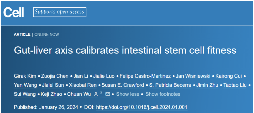 2篇Cell顶刊研究：吴船等团队合作阐明肠-肝轴调控肠道干细胞稳态