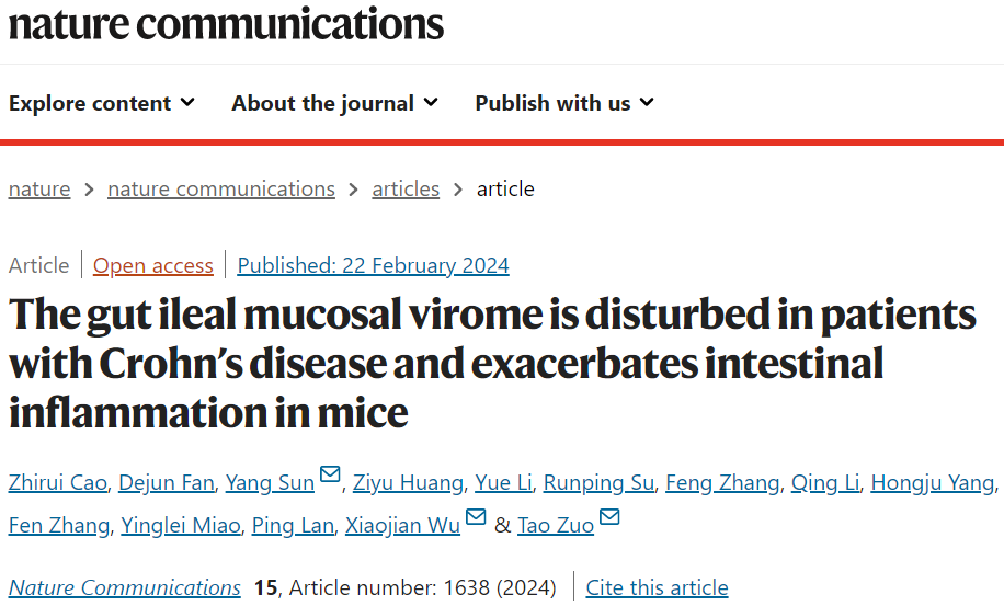 Nat Commun | 中山大学左涛/吴小剑等揭示小肠粘膜病毒群在克罗恩病中的紊乱或为致病元凶