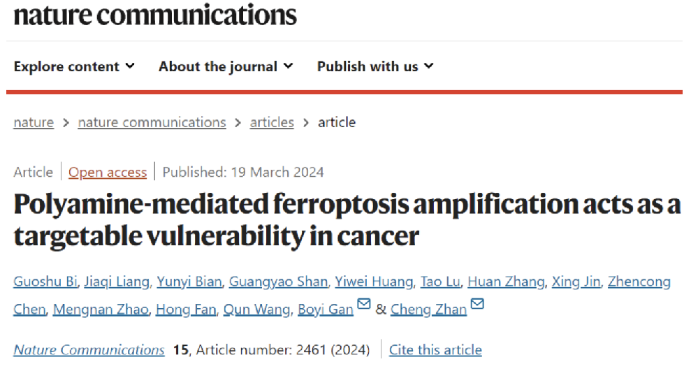 Nat Commun：靶向“铁死亡”！复旦大学詹成等团队：癌症治疗迎来新机遇