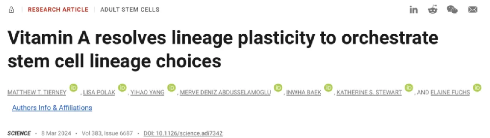 Science重磅：长出头发和皮肤修复，都离不开这种常见的维生素！