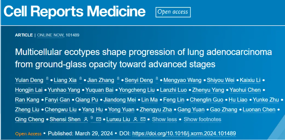 Cell子刊 | 四川大学刘伦旭等团队合作发现多细胞生态型影响肺腺癌从磨玻璃样变到晚期的进展