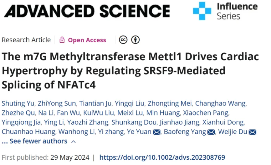 Adv Sci | 哈尔滨医科大学杨宝峰/杜伟杰等合作发现心脏肥厚的关键调节因子