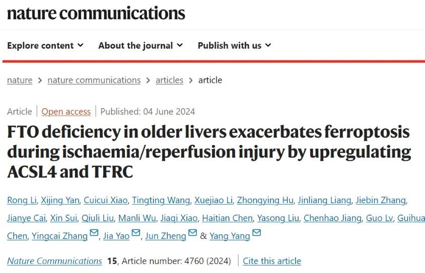Nat Commun | 中山大学杨扬等团队合作发现改善移植老年肝脏后缺血/再灌注损伤发生的临床方法
