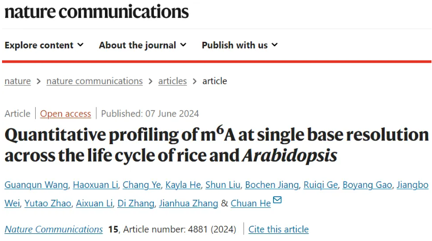Nat Commun | 何川团队首次在水稻和拟南芥的不同组织中以单碱基分辨率绘制了转录组范围内的m6A图谱