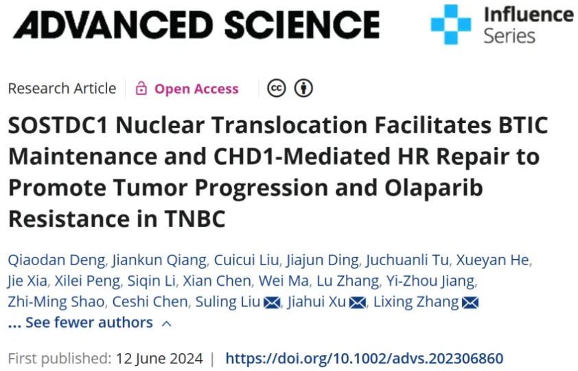 Adv Sci | 复旦大学张立行/柳素玲等发现促进三阴性乳腺癌肿瘤进展和奥拉帕尼耐药的新机制