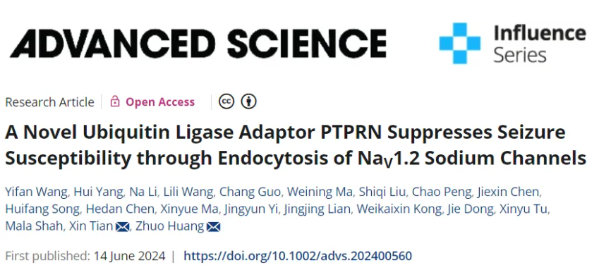 Adv Sci | 北京大学黄卓等团队合作抑制癫痫易感性的潜在新策略